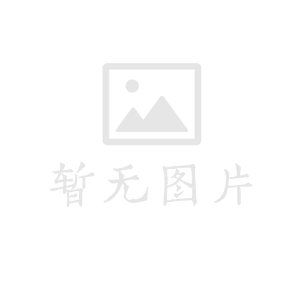 站长顶级推荐-老司机软件库-软件游乐园